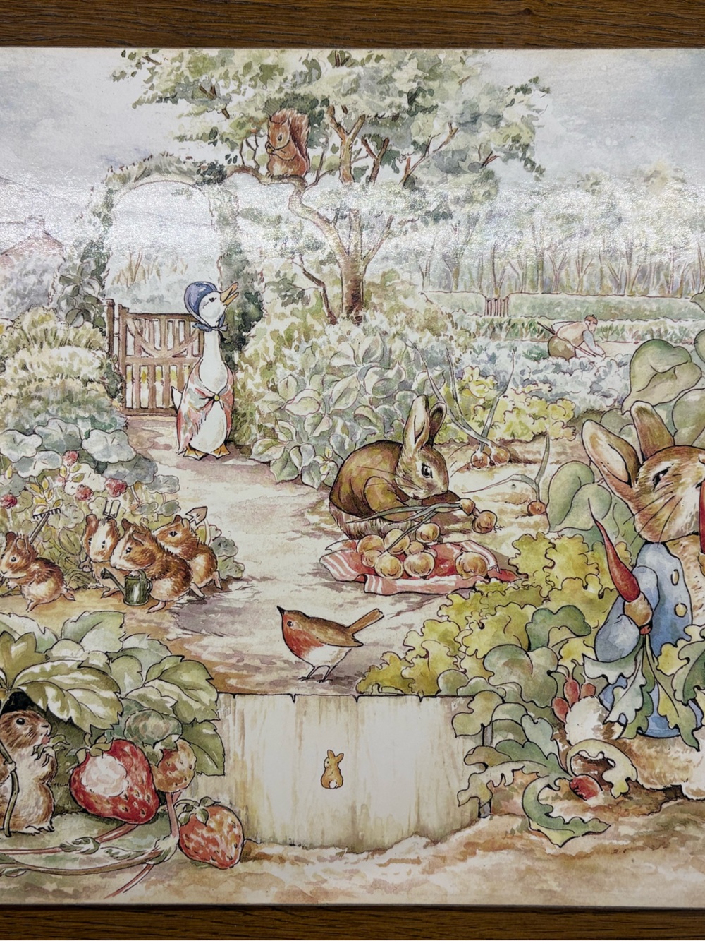 Pottery Barn Beatrix Potter Peter Rabbet set of 4 placemats